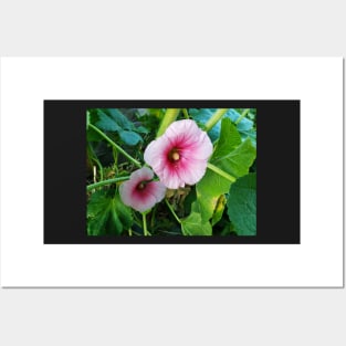 Large Pink Flowers Posters and Art